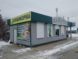 Кыштым, Улица Мамина-Сибиряка, 53А: фото