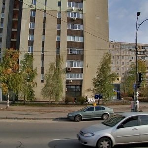 Dniprovska Embankment, 7, Kyiv: photo