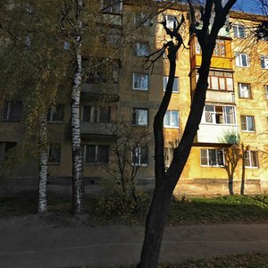 Zatinnaya Street, 36, Ryazan: photo