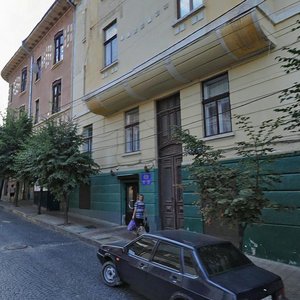 Vulytsia Shevchenka, 47 ، : صورة