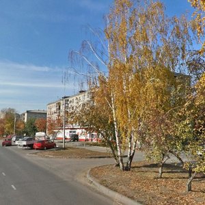 Chernorechenskaya Street, 81 ، : صورة