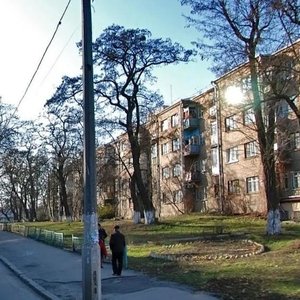 Simi Khokhlovykh Street, 2/20, : foto