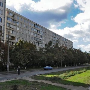 Marshala Rokosovskoho Avenue, No:4, Kiev: Fotoğraflar