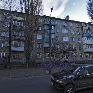 Vulytsia Liudmyly Pavlychenko, 37 ، : صورة