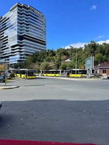 Стамбул, Улица Вади, 248A: фото