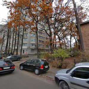 Mykhaila Kotelnykova Street, 17, : foto
