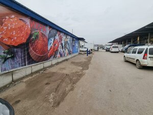 Волгоград, Шоссе Авиаторов, 15к15: фото