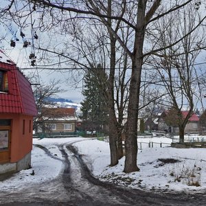 Vulytsia Myru, No:34А, Zakarpatska oblastı: Fotoğraflar