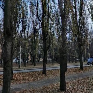 Vatslava Havela Boulevard, 49, Kyiv: photo