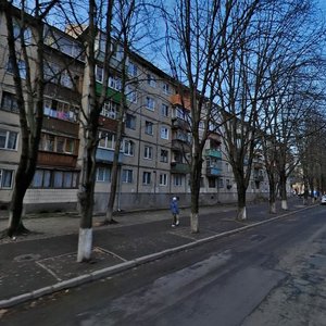 Mykoly Vasylenka Street, 8, Kyiv: photo