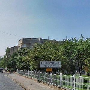Vulytsia Nekrasova, 10, Lviv: photo
