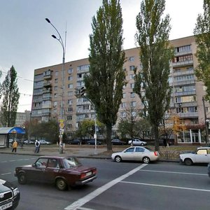 Heroiv Stalinhrada Avenue, 19, Kyiv: photo