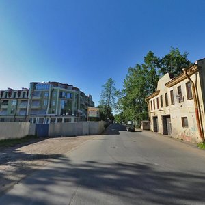 Bolshaya Ozyornaya Street, 55, Saint Petersburg: photo