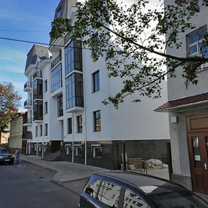 Vulytsia Skrypnyka, 14А, Kharkiv: photo