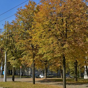 Минск, Улица Чернышевского, 3: фото