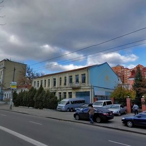 Yuriia Illienka Street, 28, Kyiv: photo