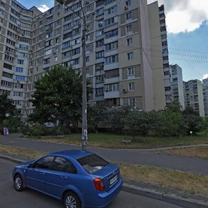 Kniazhyi Zaton Street, 1, Kyiv: photo