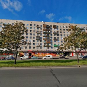 Veteranov Avenue, 55, Saint Petersburg: photo