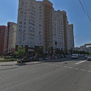 Akademika Viliamsa Street, 5, Kyiv: photo