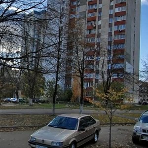 Yuriia Illienka Street, 7, Kyiv: photo