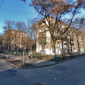 Oleha Olzhycha Street, 8, Kyiv: photo