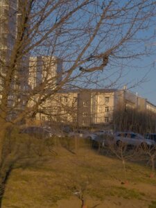 Svobodny prospekt, 66А, Krasnoyarsk: photo