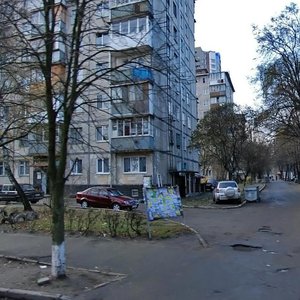 Liubomyra Huzara Avenue, 20/16, Kyiv: photo