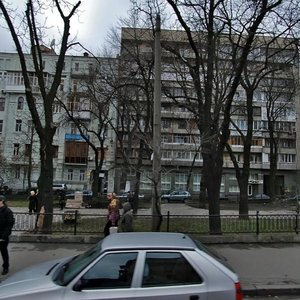 Bulvarno-Kudriavska Street, 6, Kyiv: photo
