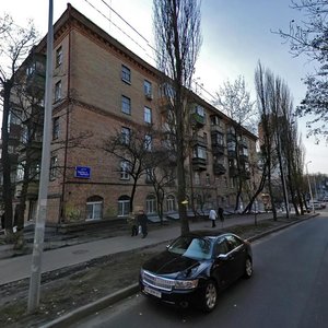 Profesora Pidvysotskoho Street, 10, Kyiv: photo