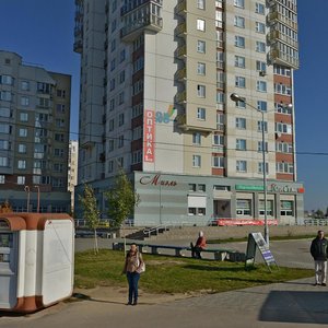 Jana Chachota Street, 25, Minsk: photo