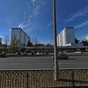 Moskovskiy Avenue, 129/5 ، نابريجني تشيلني: صورة