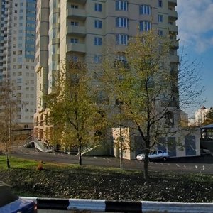 Heroiv Stalinhrada Avenue, 55, Kyiv: photo