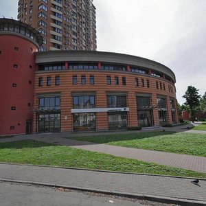 Lesi Ukrainky Boulevard, 23Б, Kyiv: photo