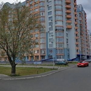 Mykhaila Lomonosova Street, 58, Kyiv: photo