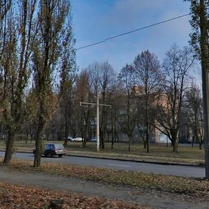 Vatslava Havela Boulevard, 41, Kyiv: photo