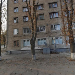 Vulytsia Briullova, 17А, Zaporizhia: photo