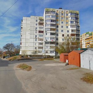 Белая Церковь, Улица Василия Стуса, 50: фото
