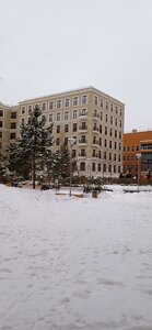 Shlyuzovaya Embankment, 2А, Moscow: photo