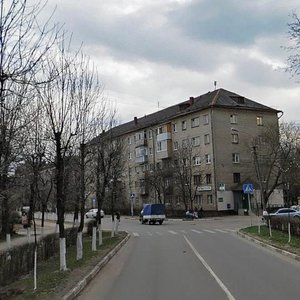 Sovetskiy prospekt, 7 ، : صورة