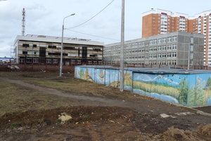 Подольск, Тепличная улица, 4: фото