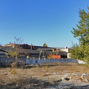 Херсонская область, Остров Карантинный, 1: фото