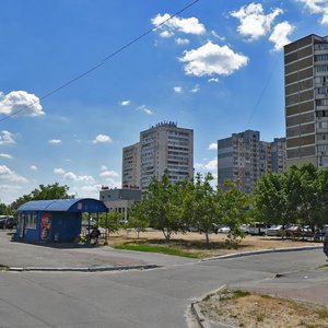 Revutskoho Street, 46, Kyiv: photo