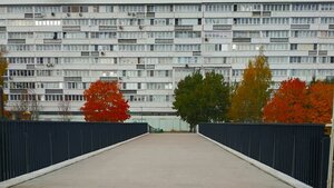 Zelenograd, к360, Zelenograd: photo