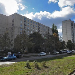 Marshala Rokosovskoho Avenue, 8А, Kyiv: photo