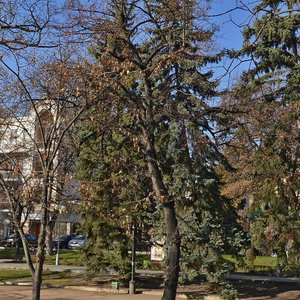 Kirova Avenue, 24, Pyatigorsk: photo