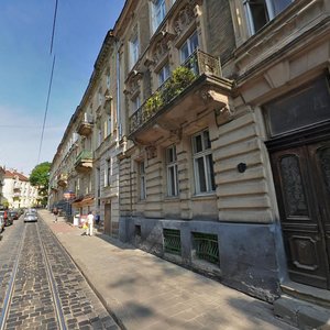 Vulytsia Nechuia-Levytskoho, 10, Lviv: photo