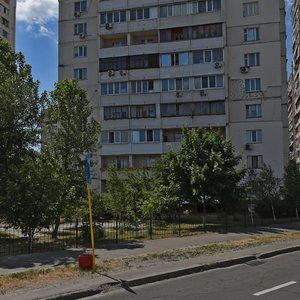 Vyshniakivska Street, 3, Kyiv: photo