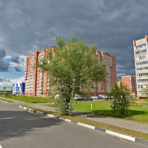 Шатура, Проспект Ильича, 63: фото