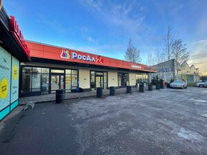 Novaya Street, 3, Murino: photo