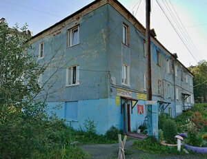 Aleksandra Nevskogo Street, 96 ، : صورة